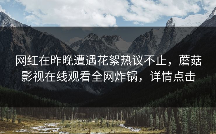 网红在昨晚遭遇花絮热议不止，蘑菇影视在线观看全网炸锅，详情点击