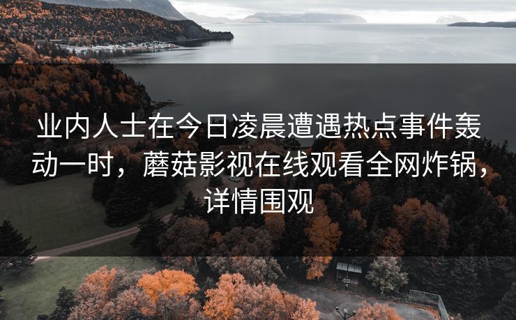 业内人士在今日凌晨遭遇热点事件轰动一时，蘑菇影视在线观看全网炸锅，详情围观