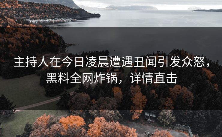 主持人在今日凌晨遭遇丑闻引发众怒，黑料全网炸锅，详情直击