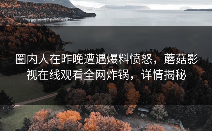 圈内人在昨晚遭遇爆料愤怒，蘑菇影视在线观看全网炸锅，详情揭秘