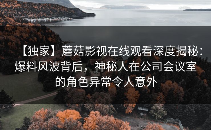 【独家】蘑菇影视在线观看深度揭秘：爆料风波背后，神秘人在公司会议室的角色异常令人意外