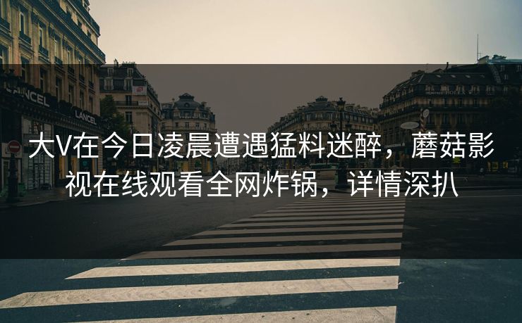 大V在今日凌晨遭遇猛料迷醉，蘑菇影视在线观看全网炸锅，详情深扒