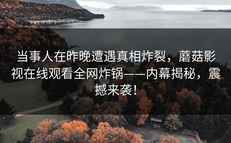 当事人在昨晚遭遇真相炸裂，蘑菇影视在线观看全网炸锅——内幕揭秘，震撼来袭！